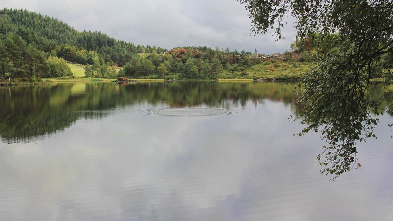 Maritjørna/Govannet