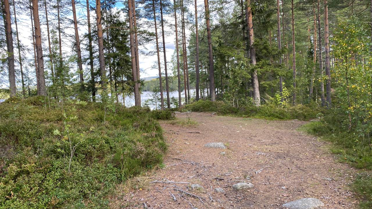 Elvatn