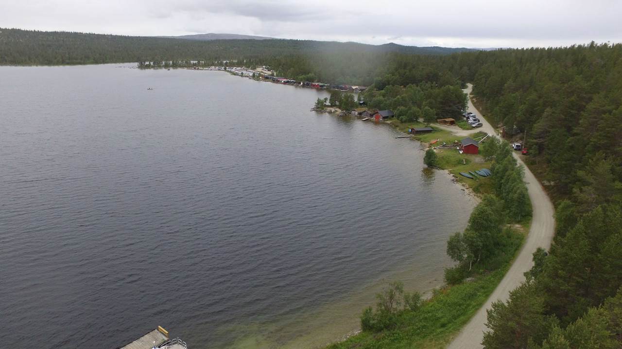 Femunden