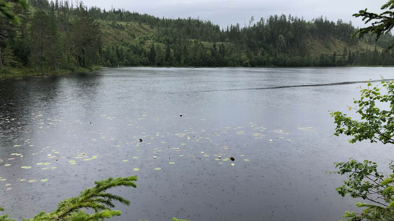 Røssvatnet