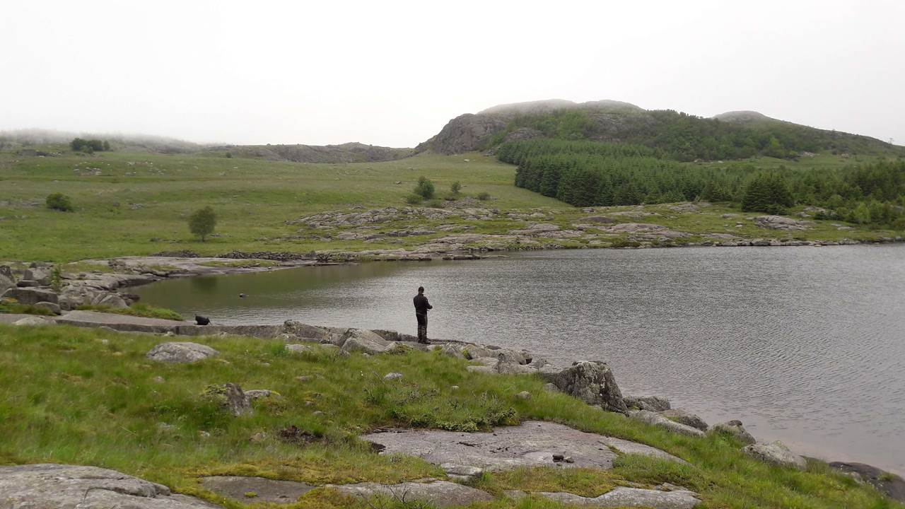 Tuvatnet
