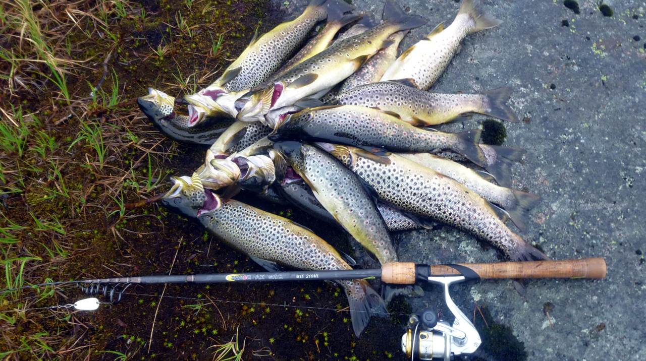 Gratis fiskekort for Otra i Setesdal