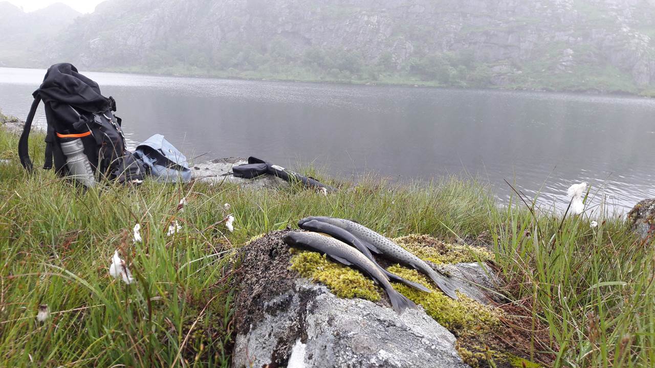 Ljosavatnet-Sikvaland