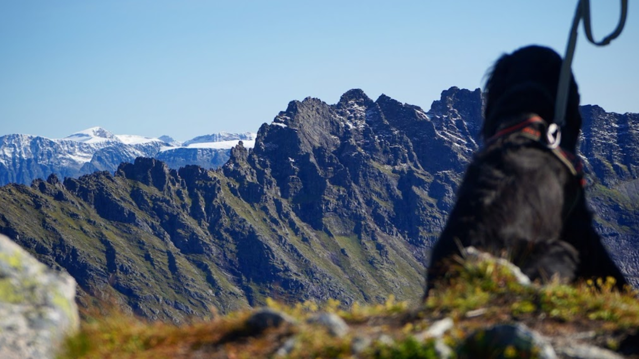 Kvanndalsvatnet