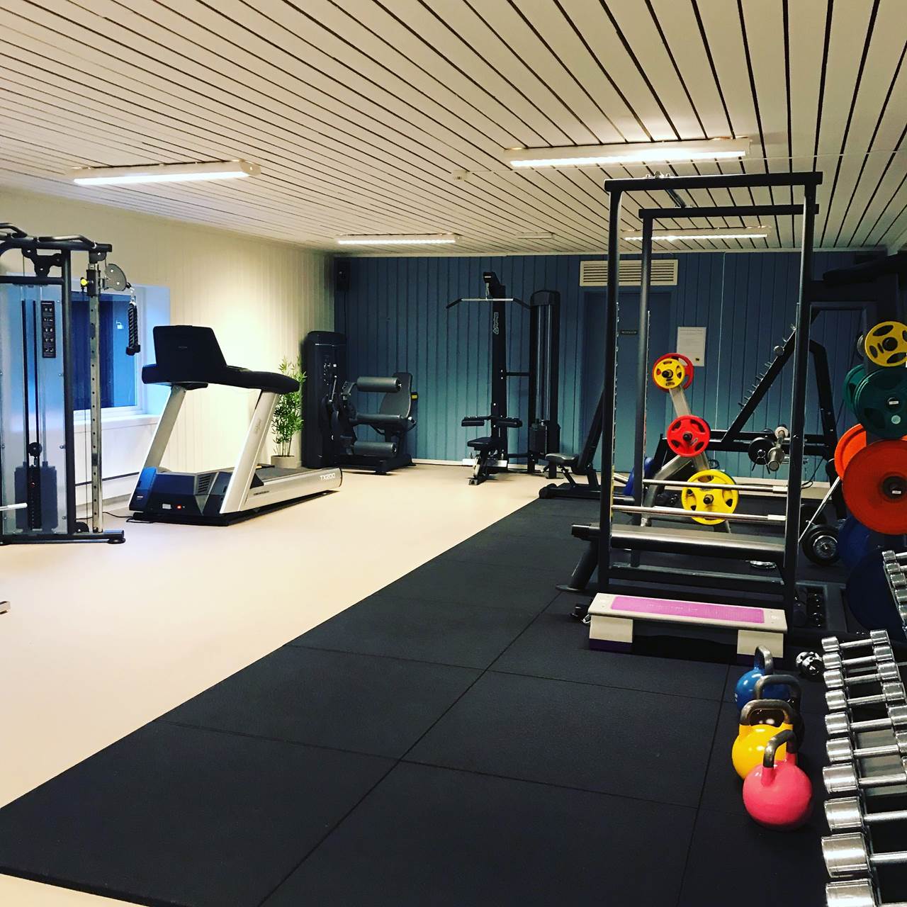 60+ styrketrening Tokkegym