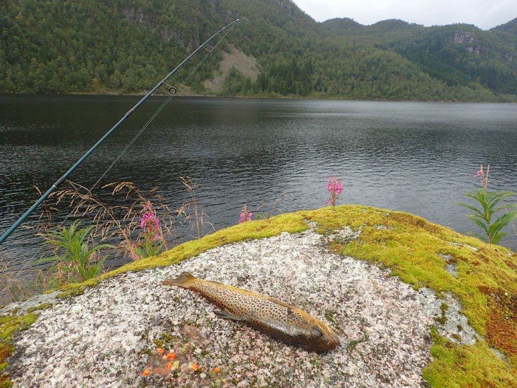 Ljoslandsvatnet