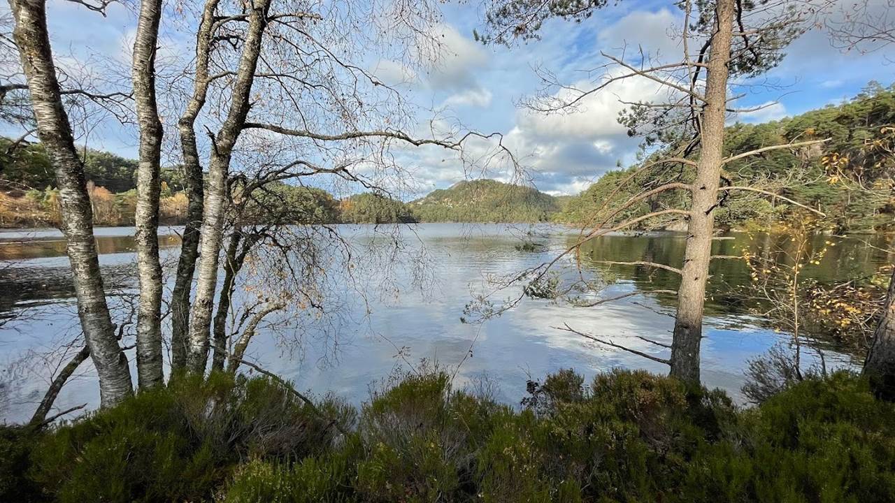 Bjørndalsvatnet