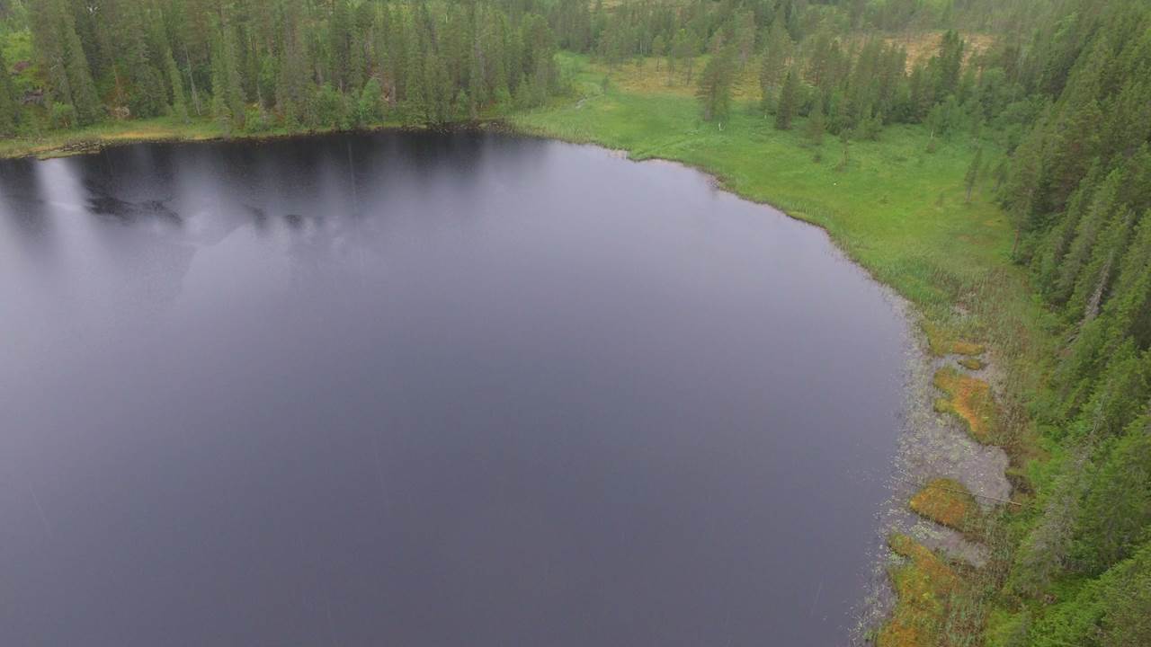 Blukkutjønna