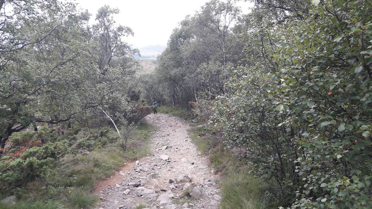Auratjørna - Sone Sandnes kommune