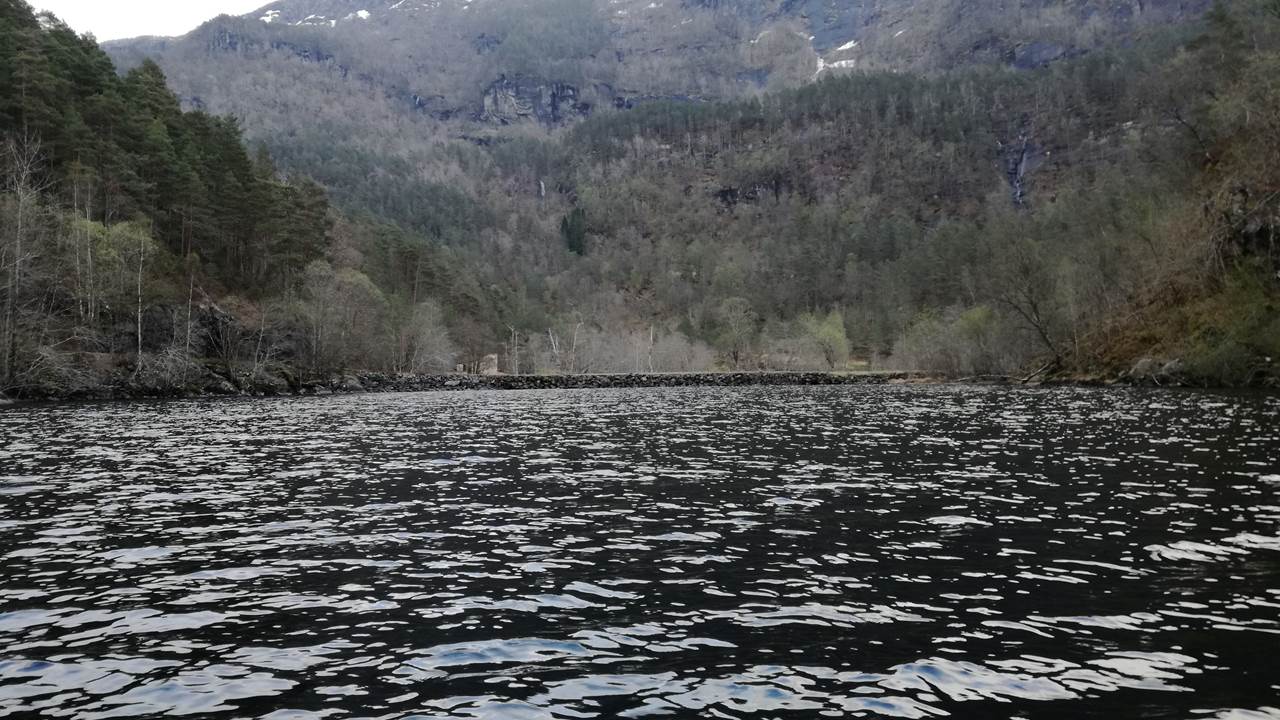 Skogseidvatnet