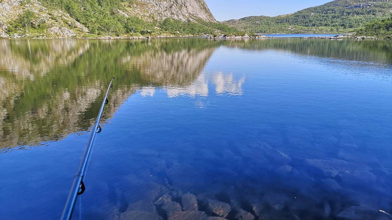 Trollabærtjørna