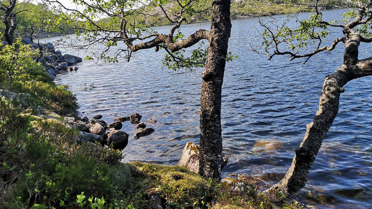 Auratjørna - Sone Sandnes kommune