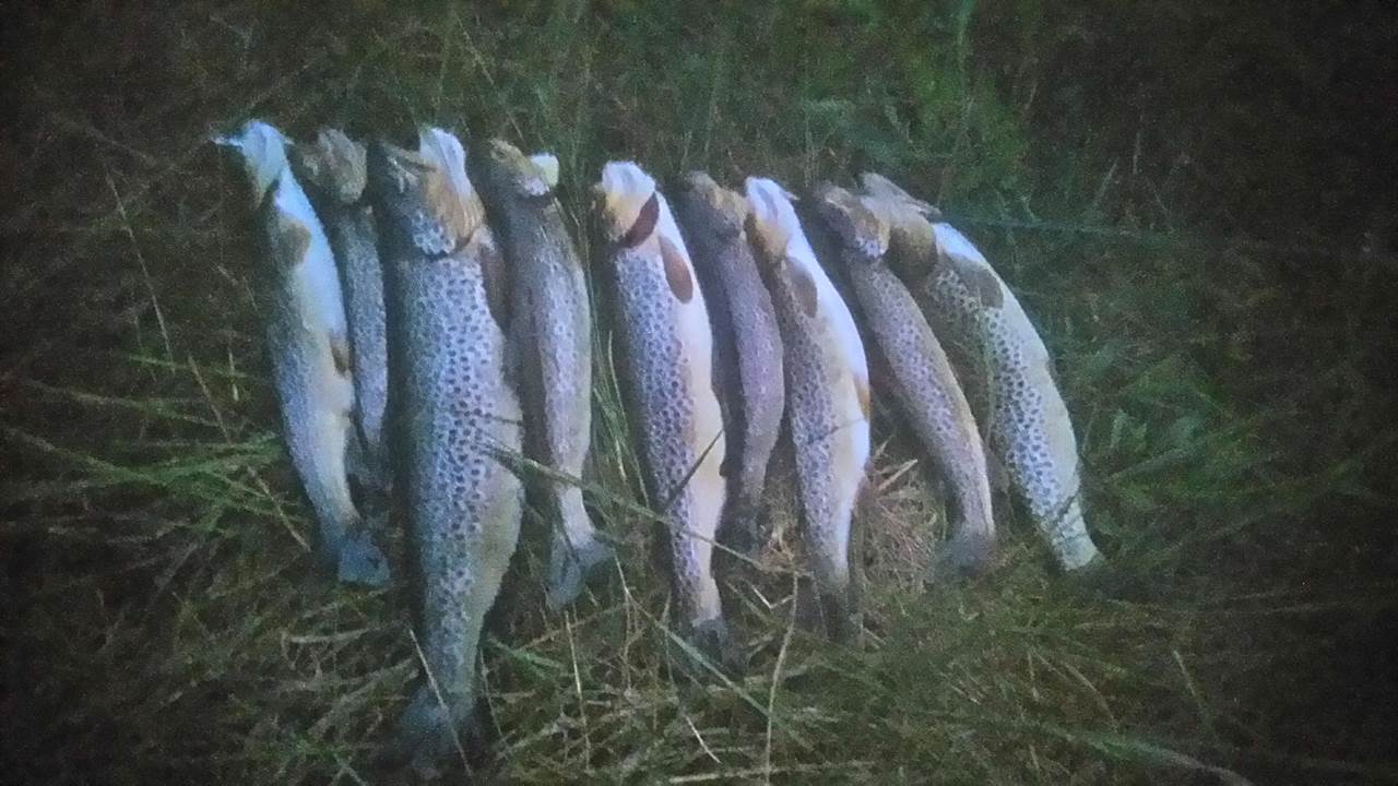 Oslandsvatnet + Litlavatnet