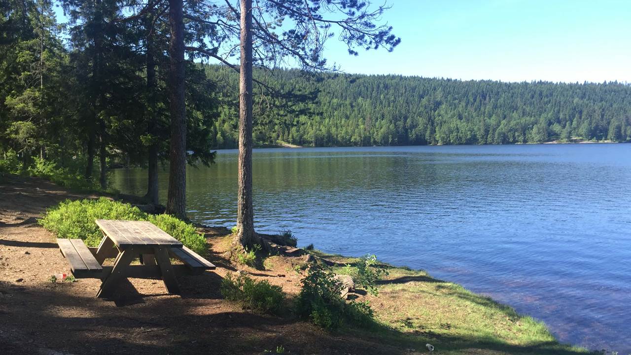 Øyungen