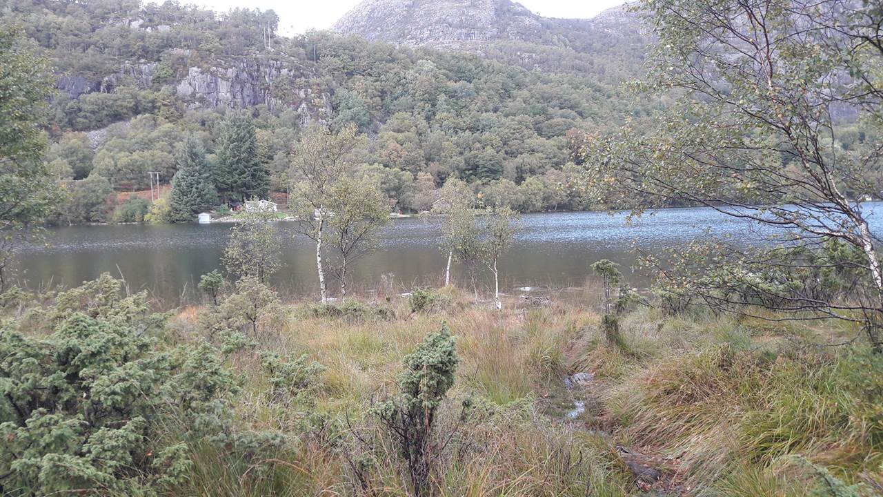 Tengesdalsvatnet