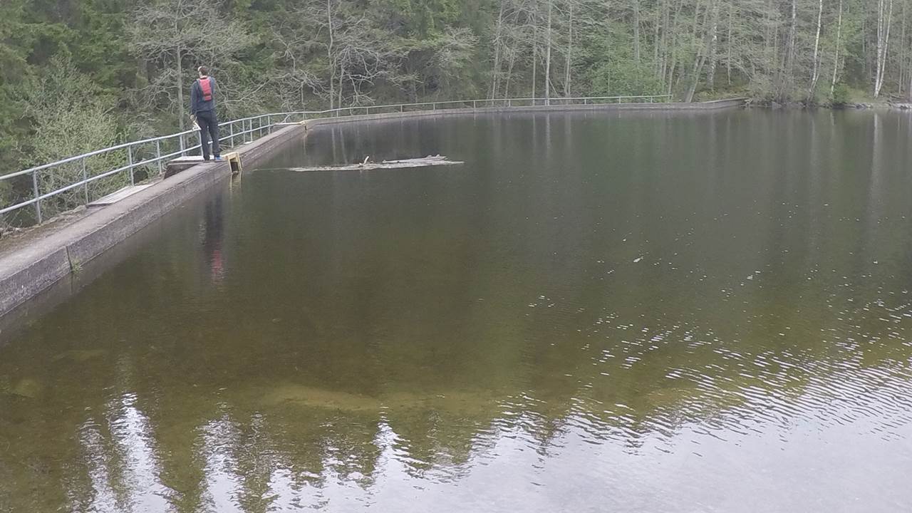 Fløyta og Geitsjøen