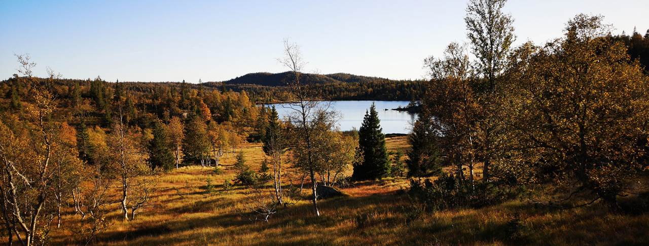 Utsikt over Rossvatnet